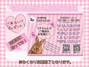 イベント情報｜大阪（和泉・枚方）神戸、奈良のうさぎ専門店Rabbit-Ruru